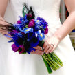 deep blue bouquet with peacock feathers and iris