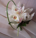 white orchid corsage